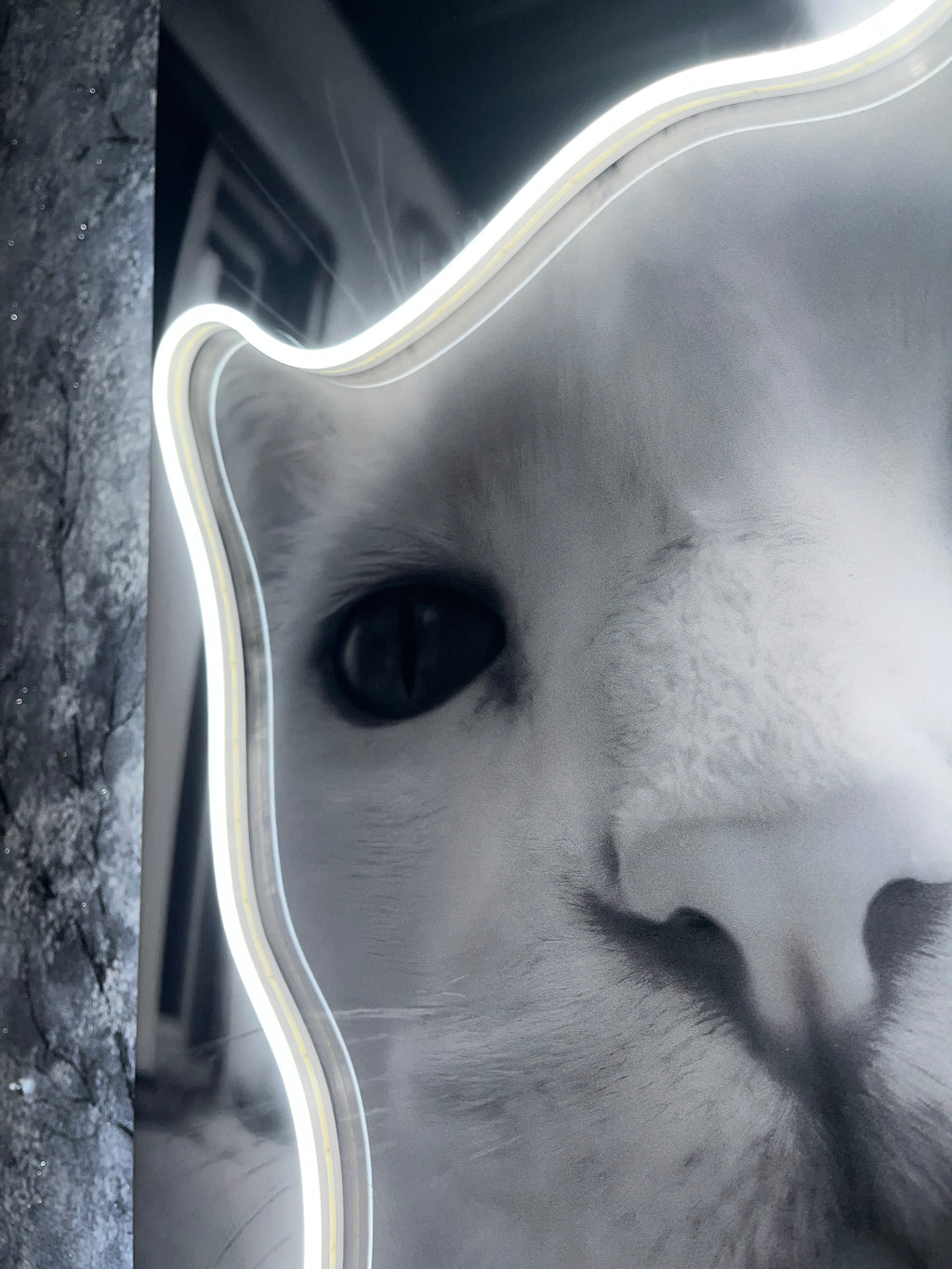 Smoking Cat